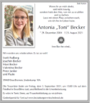eine Anzeige