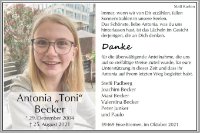 eine Anzeige